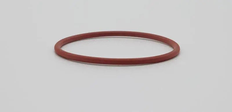 Guarnizione O-ring gruppo per diffusore Macchina da caffè Lelit LELIT