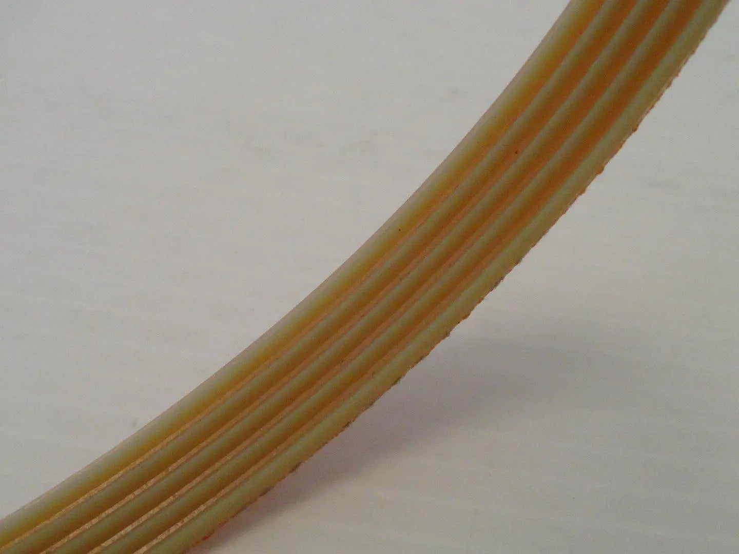 cinghia sviluppo tb2 310 mm 5 gole affettatrice rgv mod. 195 -22gs (solo per 195) RGV