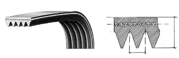 Cinghia poly-V 1280 J6 EL 116LG100 SKF