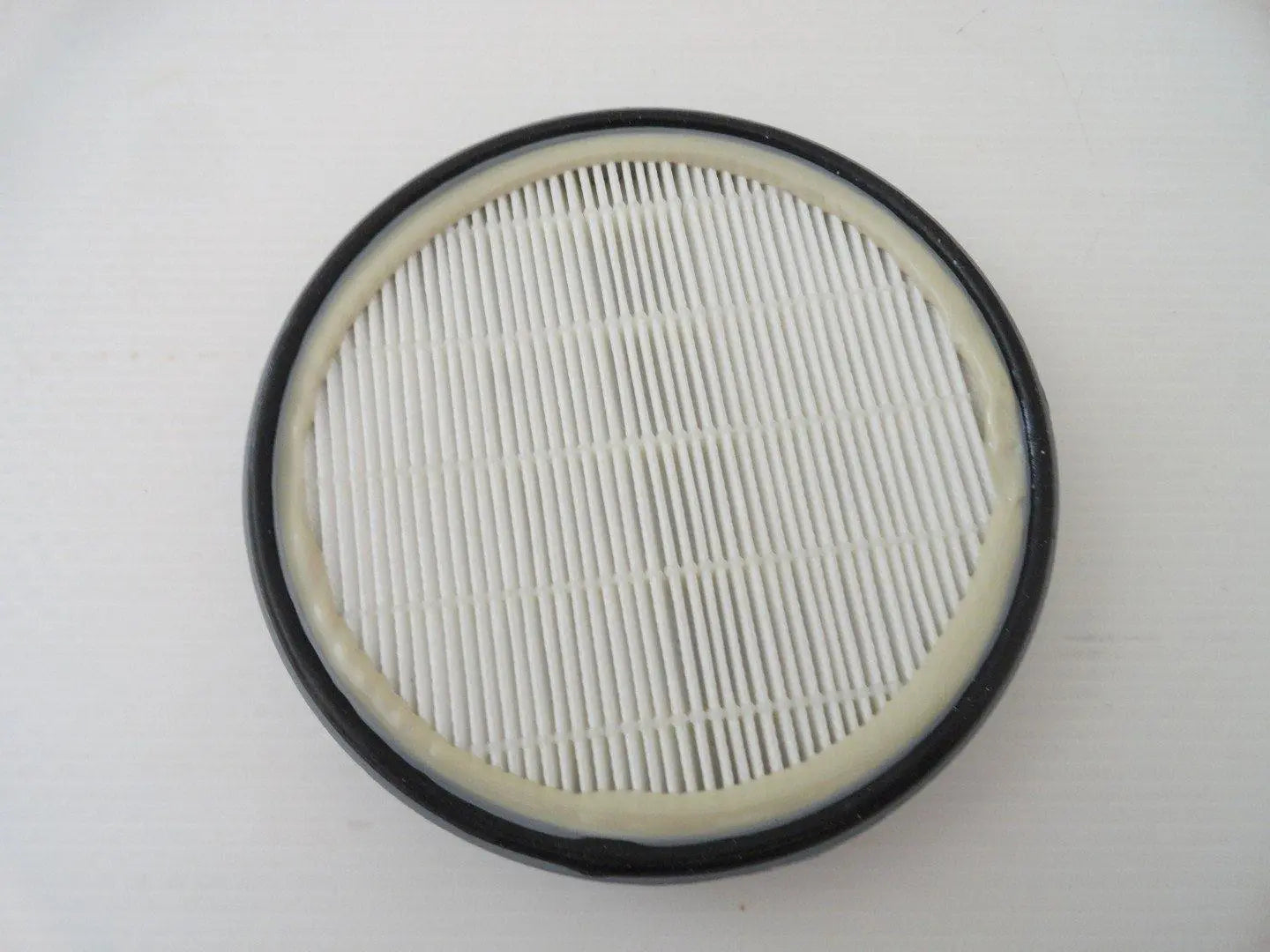 Filtro Hepa lato ruota per C100/C110/C115 originale Polti POLTI